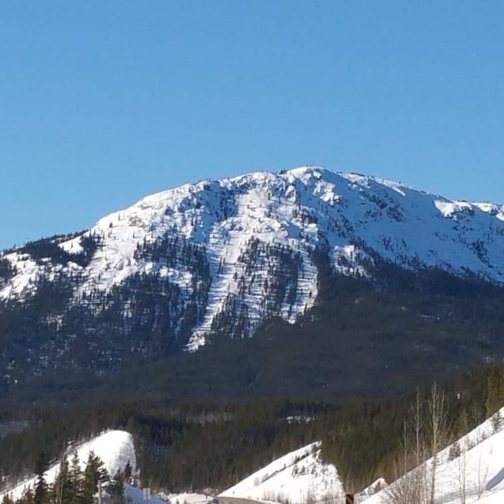 Meet your Posher, Norman